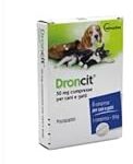 Los mejores productos para combatir los parásitos intestinales en perros: síntomas a tener en cuenta