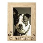 Los nombres más bonitos para perros con significado: una comparativa de las mejores opciones para tu mascota