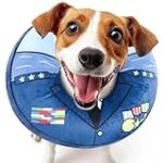 Guía de productos para perros que se rascan mucho: ¡Encuentra la solución a su picazón!