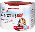 Toda la verdad sobre la leche para perros: Análisis y comparativa de los mejores productos para consentir a tu mascota