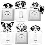 Análisis de los diferentes tipos de Border Collie: ¿Cuál es el ideal para tu mascota?
