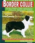 Análisis de los mejores productos para Border Collie: ¡Haz feliz a tu mascota con lo mejor!