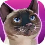 Guía completa: cómo acariciar a un gato y los productos ideales para consentir a tu mascota