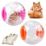 Comparativa de las Mejores Bolas para Hamster: Guía de Compra y Opiniones