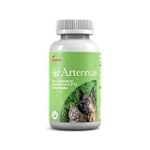 Artemisia Annua para perros: beneficios, usos y productos recomendados