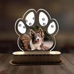 Los 5 mejores regalos personalizados de tu mascota: ¡Encuentra el regalo perfecto para tu compañero peludo!